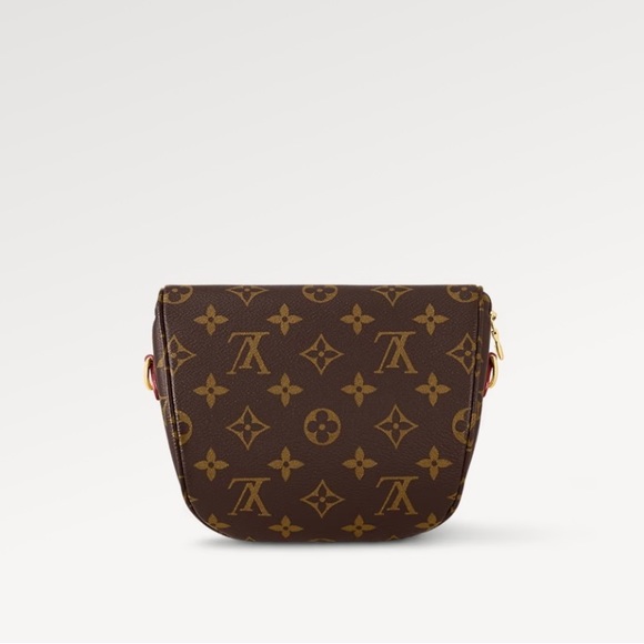 NWT LOUIS VUITTON MINI BUMBAG - Picture 8 of 8